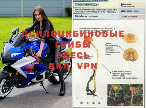 меф VHQ Кукмор