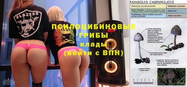 мяу мяу мука Шали